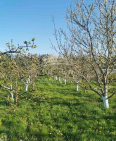 Parduodamas namas Baukštininkų k., Klaipėdos r. sav., 60 m2 ploto, 2 aukštai 4