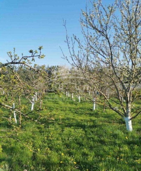 Parduodamas namas Baukštininkų k., Klaipėdos r. sav., 60 m2 ploto, 2 aukštai 4