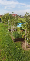 Parduodamas namas Gindulių k., Klaipėdos r. sav., 116 m2 ploto, 2 aukštai 4