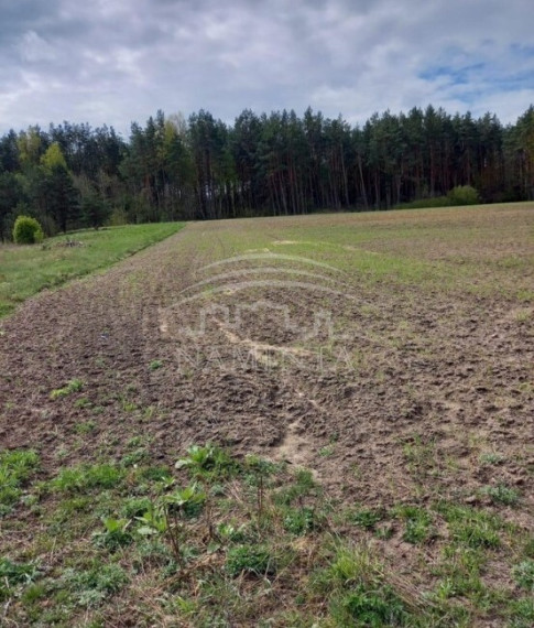 Parduodamas sklypas Kadagyno k., Kretingos r. sav., 423 a ploto 1