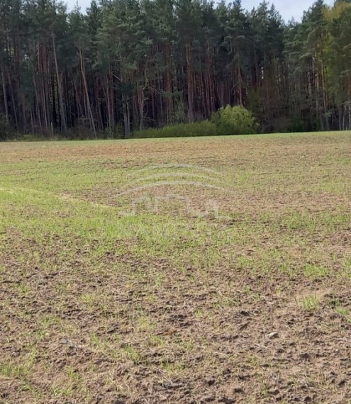 Parduodamas sklypas Kadagyno k., Kretingos r. sav., 423 a ploto 6