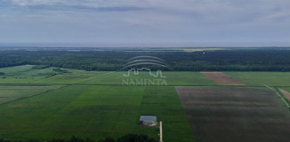Parduodamas  sklypas Joskaudų k., Kretingos r. sav., 60 a ploto 8