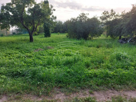 Parduodamas  sklypas Derceklių k., Klaipėdos r. sav., 6 a ploto 2
