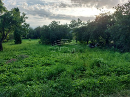 Parduodamas  sklypas Derceklių k., Klaipėdos r. sav., 6 a ploto 4