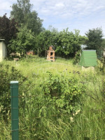 Parduodamas  sklypas Šnaukštų k., Klaipėdos r. sav., 6 a ploto 3