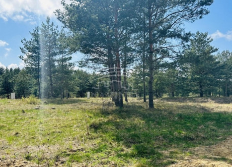 Parduodamas  sklypas Kairių k., Klaipėdos r. sav., 8 a ploto