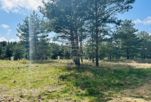 Parduodamas  sklypas Kairių k., Klaipėdos r. sav., 8 a ploto 1