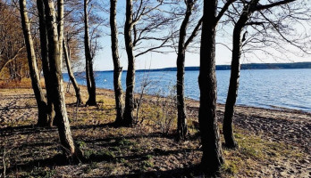 Parduodamas  sklypas Kairių k., Klaipėdos r. sav., 8 a ploto 7