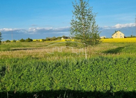 Parduodamas  sklypas Kuliškių k., Klaipėdos r. sav., 94 a ploto