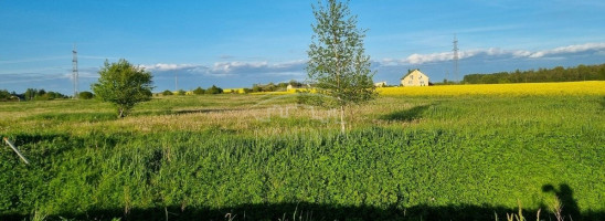 Parduodamas  sklypas Kuliškių k., Klaipėdos r. sav., 94 a ploto 1