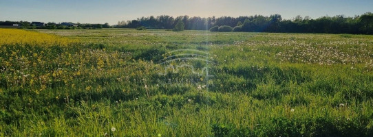 Parduodamas  sklypas Kuliškių k., Klaipėdos r. sav., 94 a ploto 2