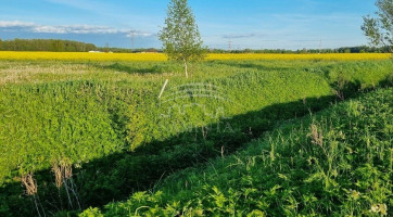 Parduodamas  sklypas Kuliškių k., Klaipėdos r. sav., 94 a ploto 5