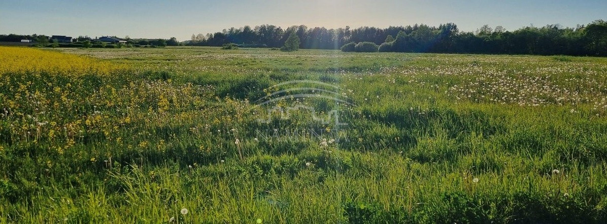 Parduodamas  sklypas Kuliškių k., Klaipėdos r. sav., 94 a ploto 10