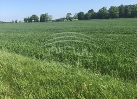 Parduodamas  sklypas Triušių k., Klaipėdos r. sav., 570 a ploto