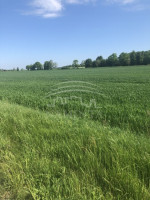 Parduodamas  sklypas Triušių k., Klaipėdos r. sav., 570 a ploto 1