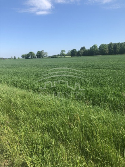 Parduodamas sklypas Triušių k., Klaipėdos r. sav., 570 a ploto 1