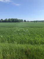 Parduodamas  sklypas Triušių k., Klaipėdos r. sav., 570 a ploto 2