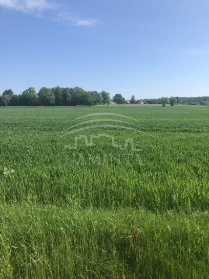 Parduodamas sklypas Triušių k., Klaipėdos r. sav., 570 a ploto 2
