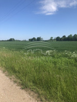 Parduodamas  sklypas Triušių k., Klaipėdos r. sav., 570 a ploto 4