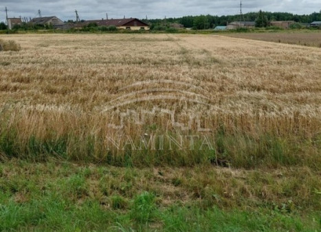 Parduodamas  sklypas Padvarių k., Kretingos r. sav., 75 a ploto
