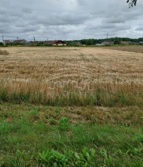 Parduodamas sklypas Padvarių k., Kretingos r. sav., 75 a ploto 1