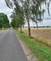 Parduodamas  sklypas Padvarių k., Kretingos r. sav., 75 a ploto 2