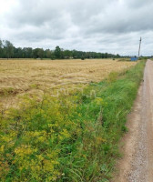 Parduodamas  sklypas Padvarių k., Kretingos r. sav., 75 a ploto 3
