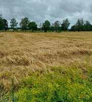 Parduodamas  sklypas Padvarių k., Kretingos r. sav., 75 a ploto 5