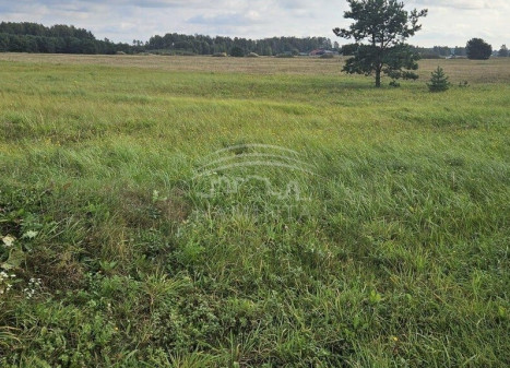 Parduodamas  sklypas Klaipėdos m., Klaipėdos m. sav., 11 a ploto