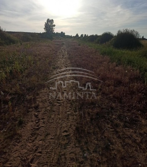 Parduodamas sklypas Radailių k., Klaipėdos r. sav., 10 a ploto 2