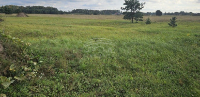 Parduodamas  sklypas Radailių k., Klaipėdos r. sav., 10 a ploto 16