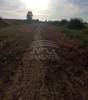 Parduodamas  sklypas Radailių k., Klaipėdos r. sav., 10 a ploto 20