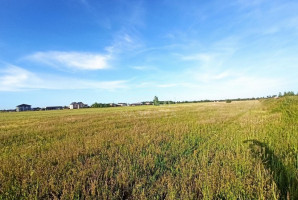 Parduodamas  sklypas Radailių k., Klaipėdos r. sav., 10 a ploto 21