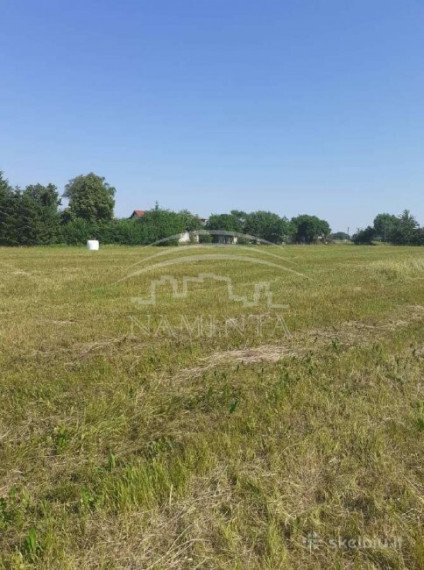 Parduodamas  sklypas Jokūbavo k., Kretingos r. sav., 17 a ploto 6