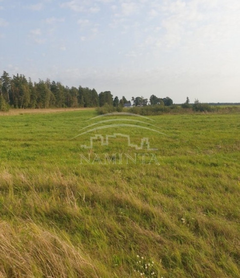 Parduodamas sklypas Juodikių k., Klaipėdos r. sav., 18 a ploto 4
