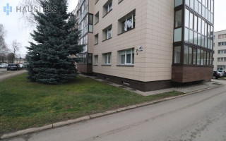 Nuomojamas butas Nevėžio g., , Panevėžyje, 29.5 kv.m ploto 5