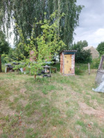 Parduodamas  sklypas Šnaukštų k., Klaipėdos r. sav., 6 a ploto 7