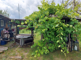 Parduodamas  sklypas Šnaukštų k., Klaipėdos r. sav., 6 a ploto 9