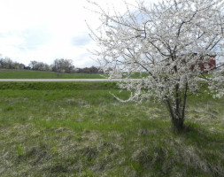 Parduodamas sklypas Pakalnės g., Didžiųjų Lapių k., Kauno r. sav., 20.69 a ploto 2