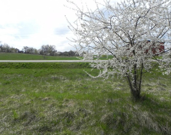 Parduodamas sklypas Pakalnės g., Didžiųjų Lapių k., Kauno r. sav., 20.69 a ploto 2
