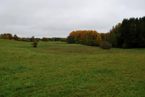 Parduodamas sklypas Pašilės k., Zarasų r. sav., 195 a ploto 3