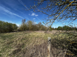 Parduodamas sklypas Panevėžiuko k., Kauno r. sav., 40 a ploto 9
