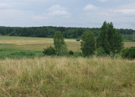 Parduodamas sklypas Griežionėlių k., Anykščių r. sav., 2578.00 a ploto