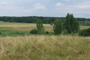 Parduodamas sklypas Griežionėlių k., Anykščių r. sav., 2578.00 a ploto 1