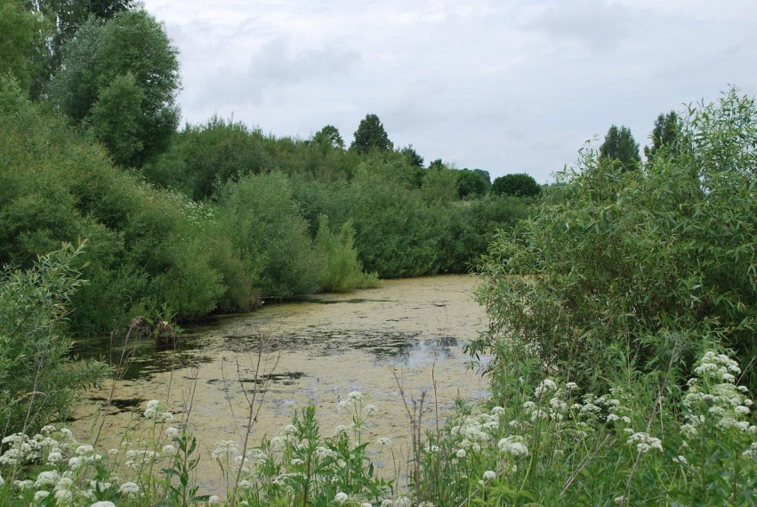 Parduodamas sklypas Griežionėlių k., Anykščių r. sav., 2578.00 a ploto 2