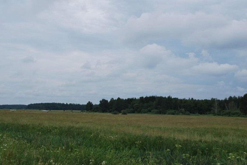 Parduodamas sklypas Griežionėlių k., Anykščių r. sav., 2578.00 a ploto 3