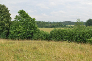 Parduodamas sklypas Griežionėlių k., Anykščių r. sav., 2578.00 a ploto 5