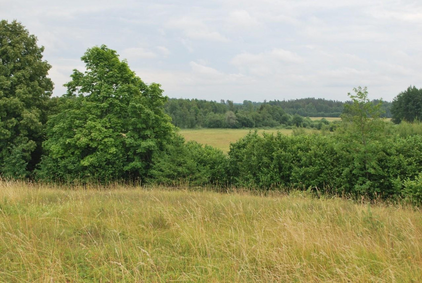 Parduodamas sklypas Griežionėlių k., Anykščių r. sav., 2578.00 a ploto 5