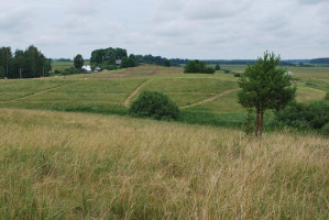 Parduodamas sklypas Griežionėlių k., Anykščių r. sav., 2578.00 a ploto 6
