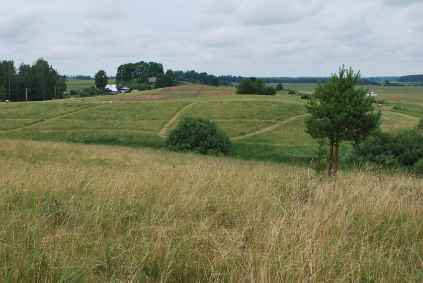 Parduodamas sklypas Griežionėlių k., Anykščių r. sav., 2578.00 a ploto 6